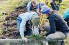 Photo of people digging in garden bed