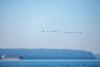 Landscapes of the sound