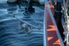 Collecting samples on the Sound