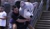 Hendrix the husky mascot with student riding on his back