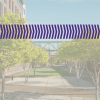Photo of trees in background with purple arrows overlaid