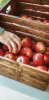 hand reaching into apple basket